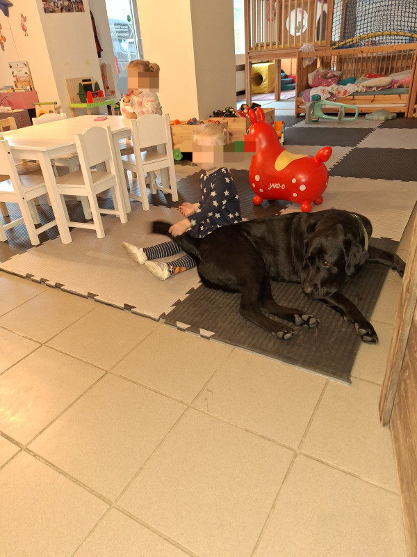 1000275696 1000275696